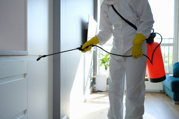 Best Residential Mold Removal  in Clute, TX