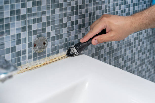 Best Fast Mold Removal  in Clute, TX