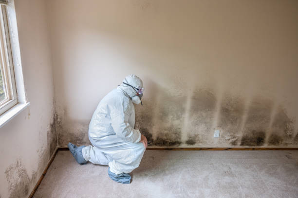 Best Mold Testing  in Clute, TX